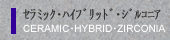 �Z���~�b�N�E�n�C�u���b�h�E�W���R�j�A